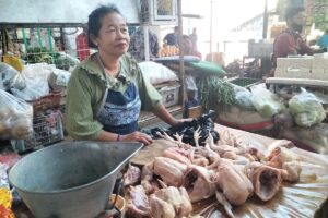 Harga Daging Ayam