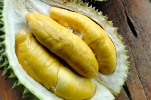 Durian