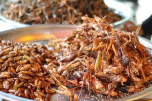 Makanan Bergizi