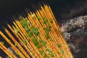 Sate Tanpa Daging